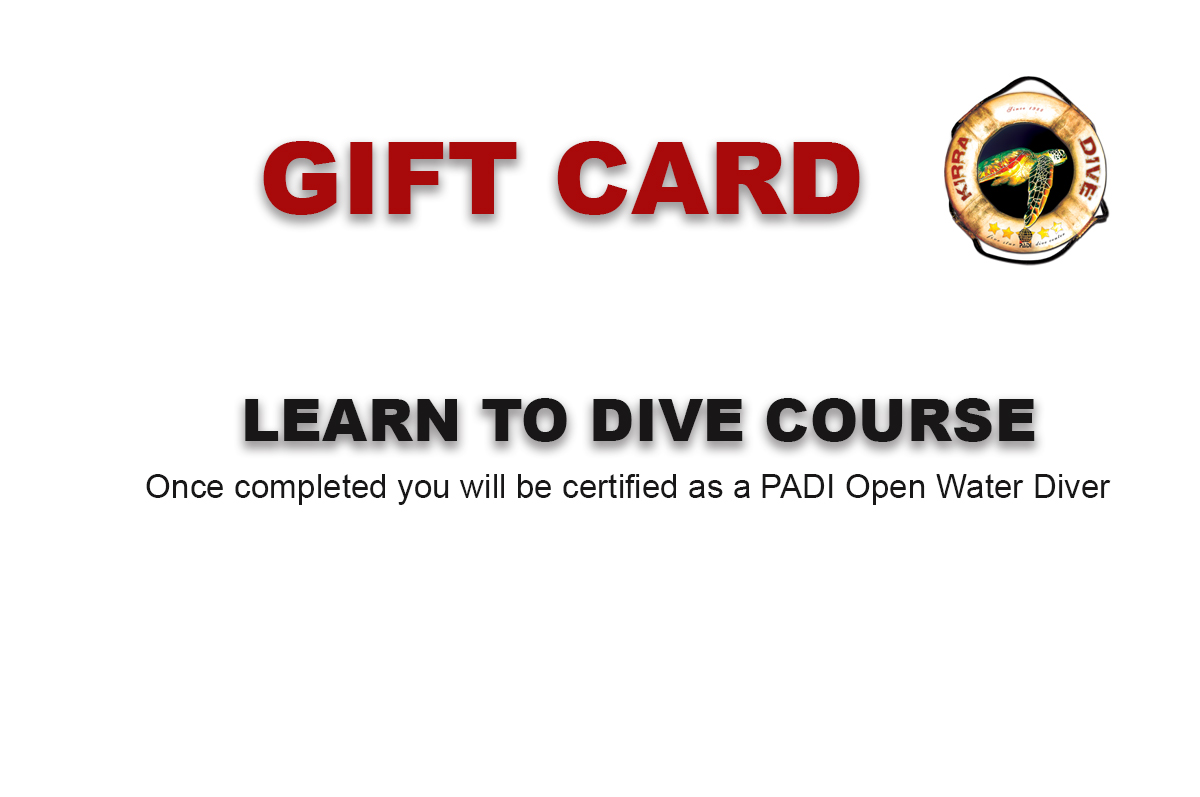 OPEN WATER COURSE GIFT CARD